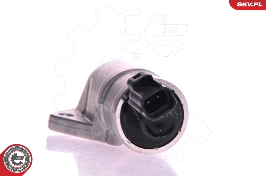 Idle Control Valve, air supply